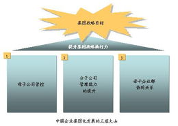 平衡計分卡與戰(zhàn)略管理 提升中國企業(yè)集團(tuán)戰(zhàn)略執(zhí)行力的實(shí)踐探索