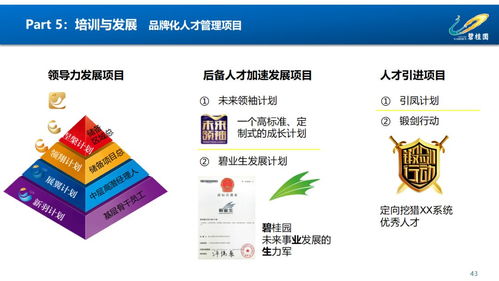 賦能組織，驅(qū)動(dòng)未來(lái) 鳳廠人力資源管理體系構(gòu)建與優(yōu)化
